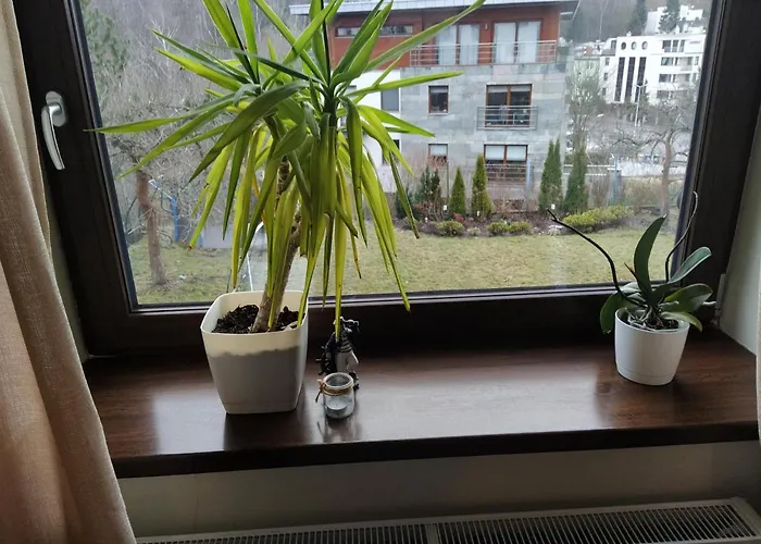 Z Tarasem شقة غدينيا